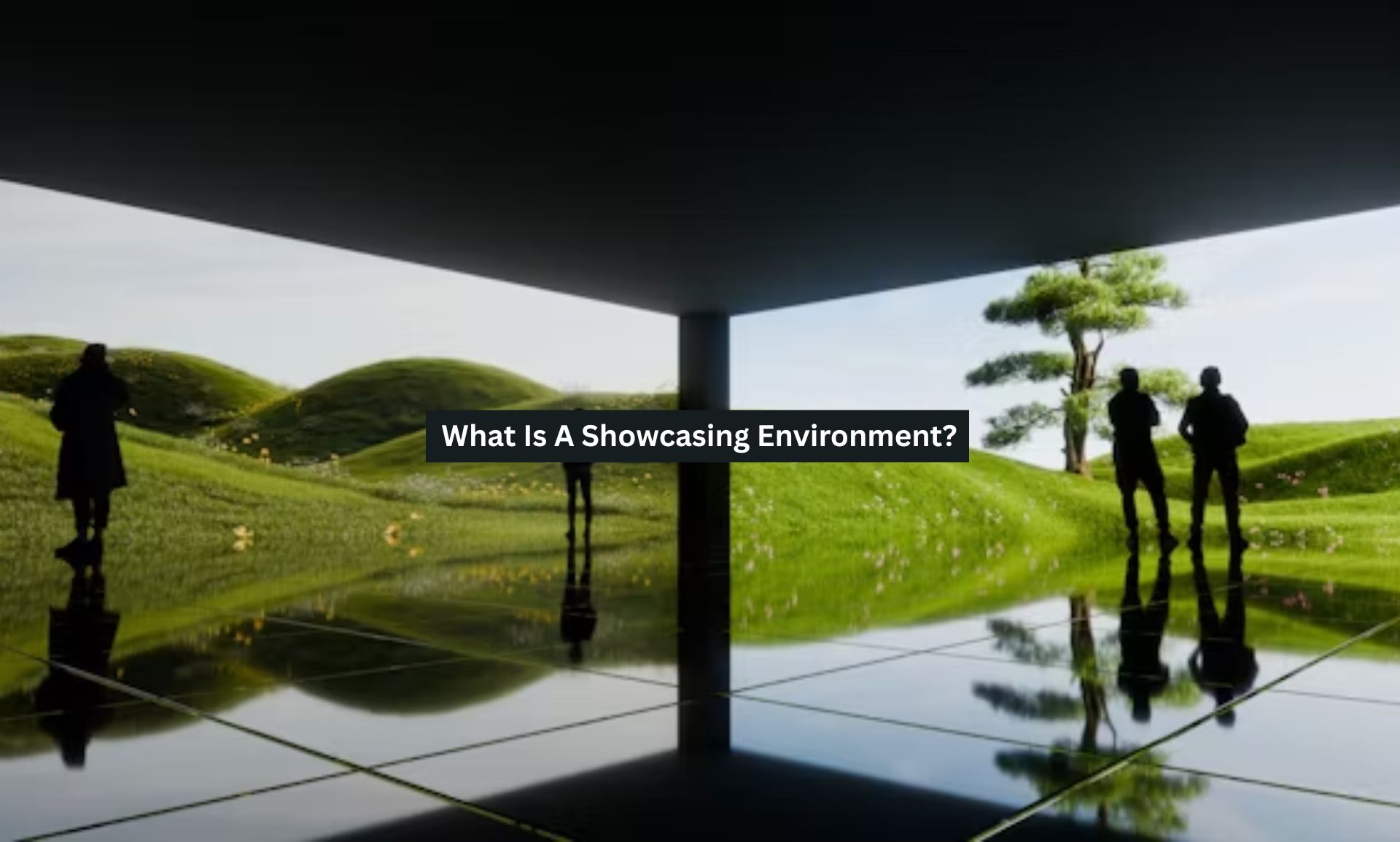 What Is A Showcasing Environment?